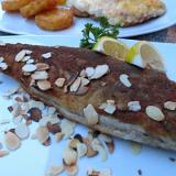 1708G 16 Landgasthof Textor